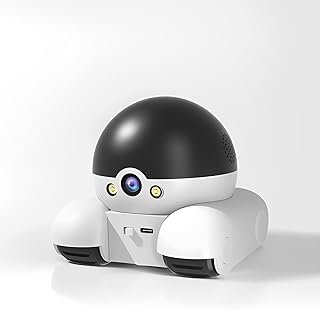 licaevey-robot-camera