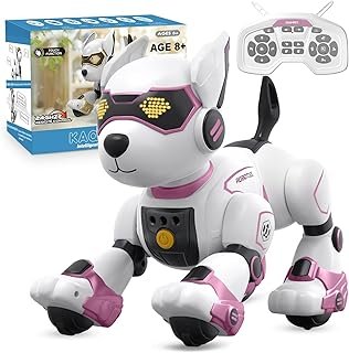 pranite-perro-robot